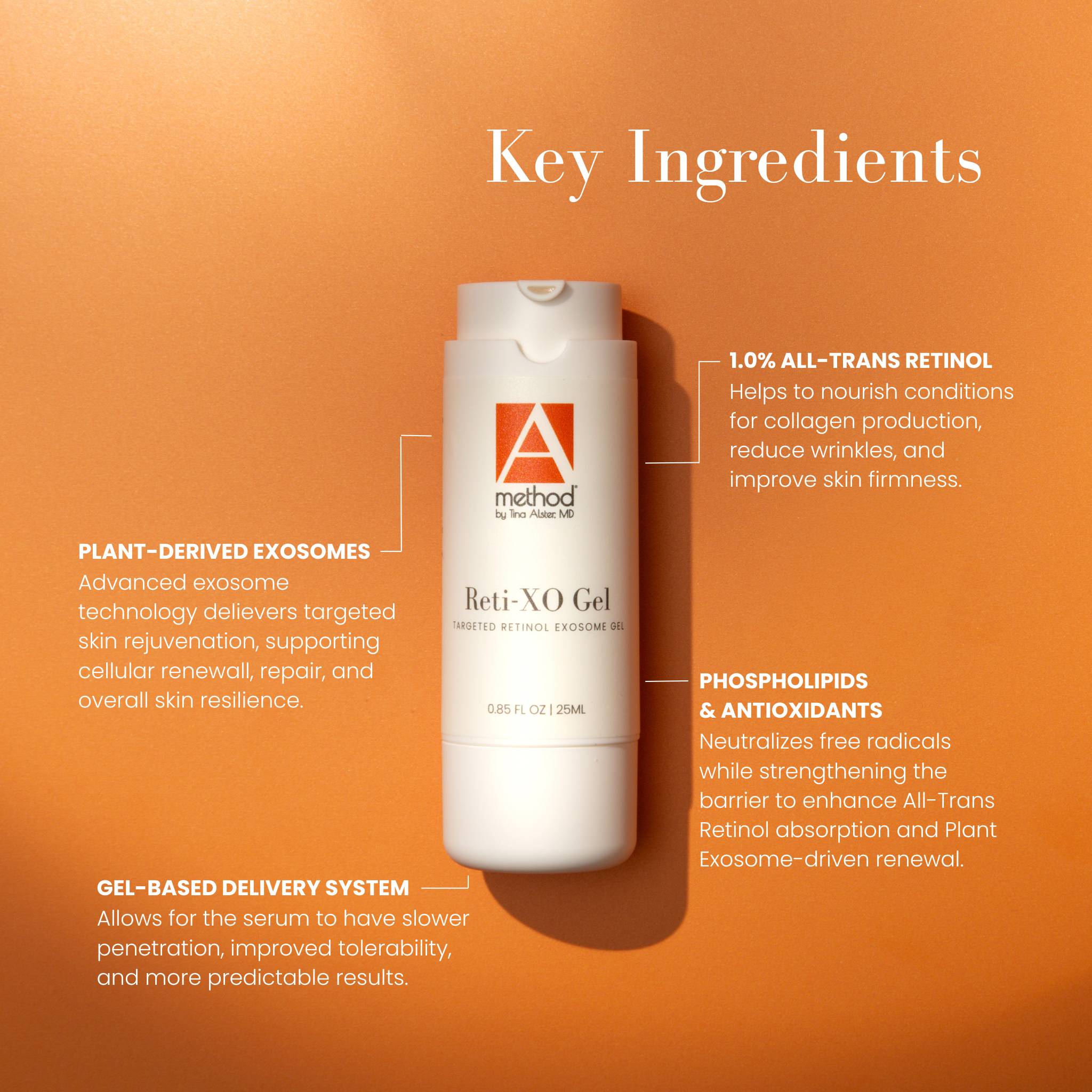 Reti-XO Gel | Retinol + Plant Exosome Serum by Dr. Tina Alster